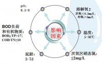 生物除磷的影响因素有哪些